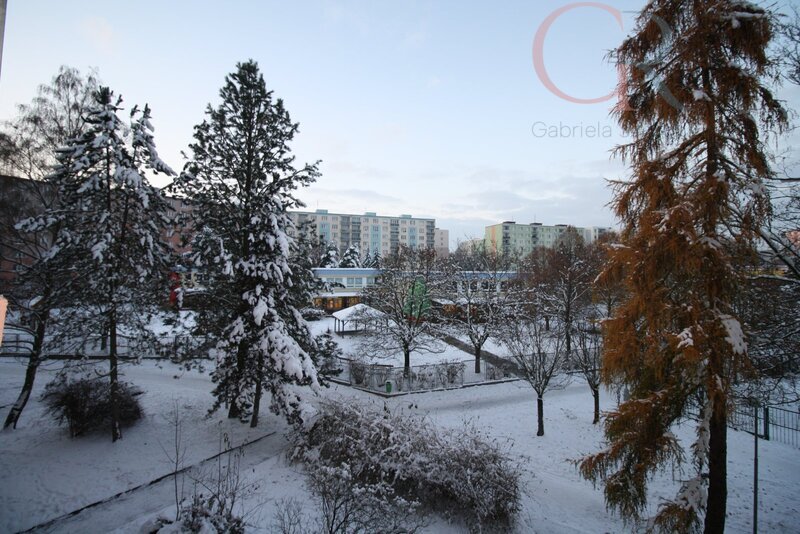 Pronájem bytu 2+1, 66 m2 ul. Elišky Krásnohorské, Plzeň