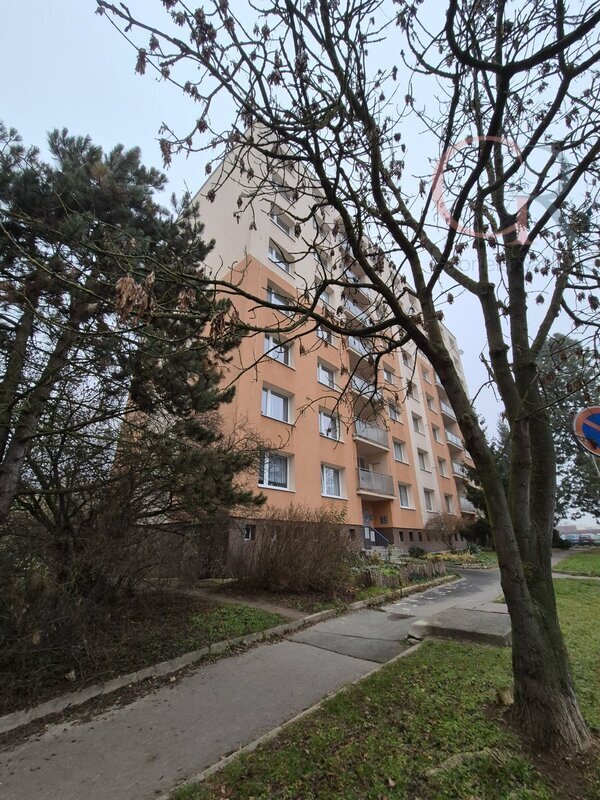 REZERVACE Pronájem bytu 1+1, ul. Komenského, Plzeň